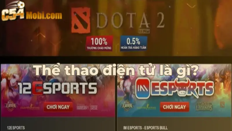 cam-nang-ca-cuoc-the-thao-esport-c54-tai-sanh-im