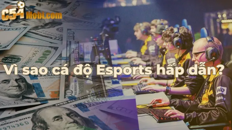 cam-nang-ca-cuoc-the-thao-esport-c54-tai-sanh-im-1
