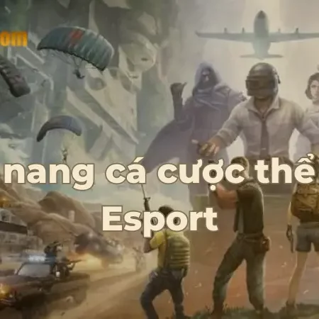 Cẩm nang cá cược thể thao Esport C54 tại sảnh IM