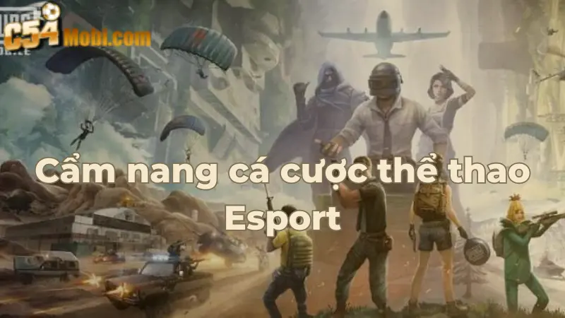 cam-nang-ca-cuoc-the-thao-esport-c54-tai-sanh-im-2