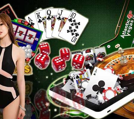 Sóc đĩa hay xóc đĩa C54 cực kỳ hấp dẫn