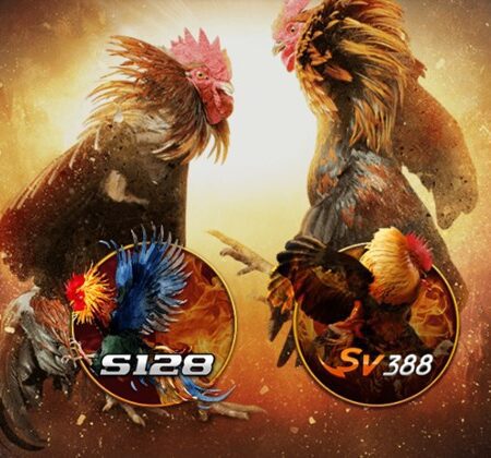 Đá gà online C54 cự kỳ hấp dẫn dành cho anh em đam mê