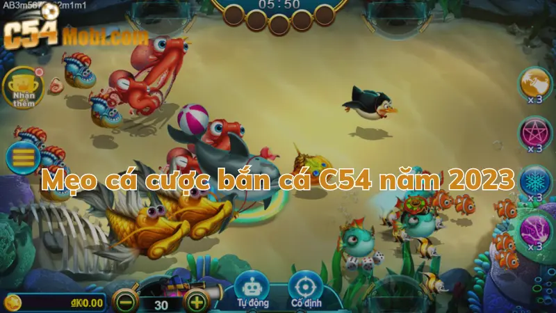 meo-ca-cuoc-ban-ca-c54-trong-nam-2023