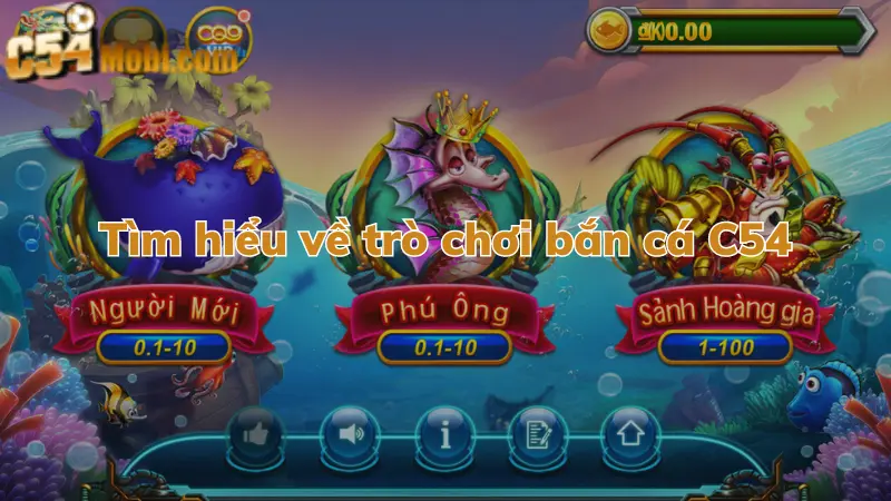 meo-ca-cuoc-ban-ca-c54-trong-nam-2023-1