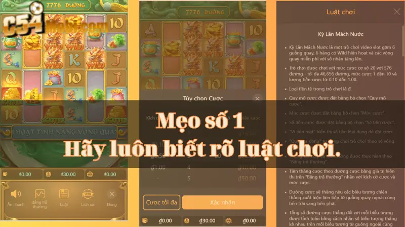 meo-ca-cuoc-no-hu-c54-luon-thang-2