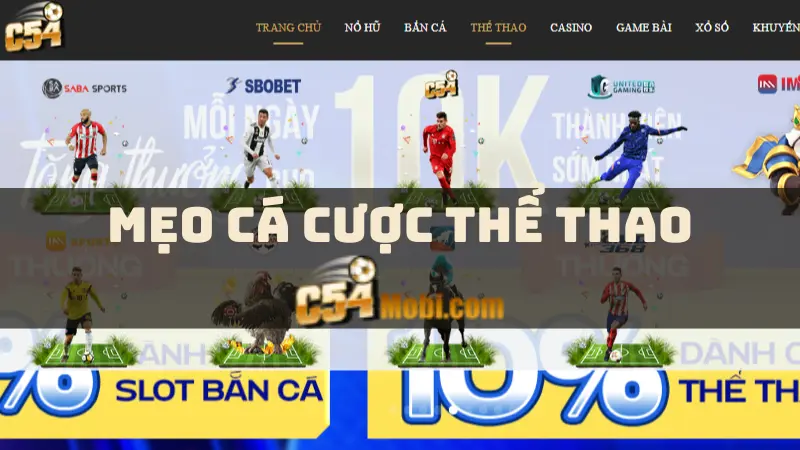meo-ca-cuoc-the-thao-c54