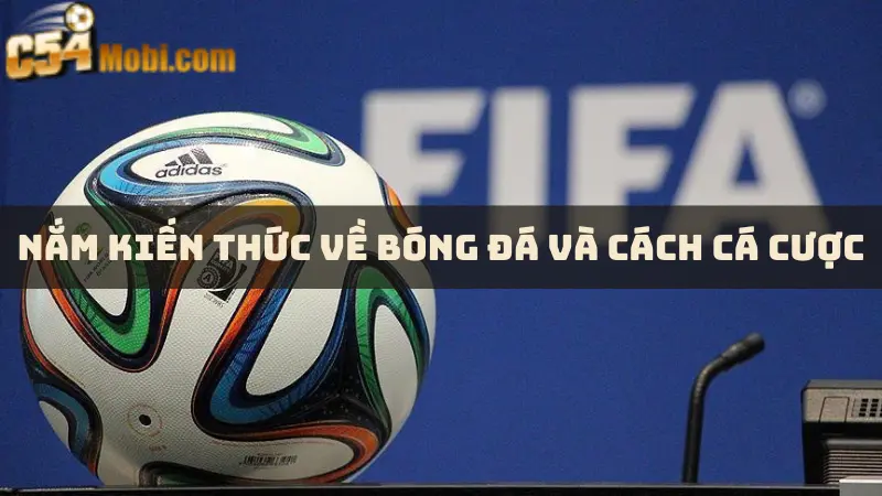 meo-ca-cuoc-the-thao-c54-2