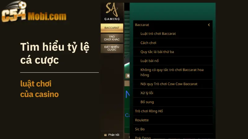 meo-ca-cuoc-casino-c54-tai-sanh-sa-4