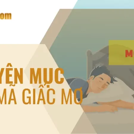 Chuyên mục giải mã giấc mơ C54 Mobi