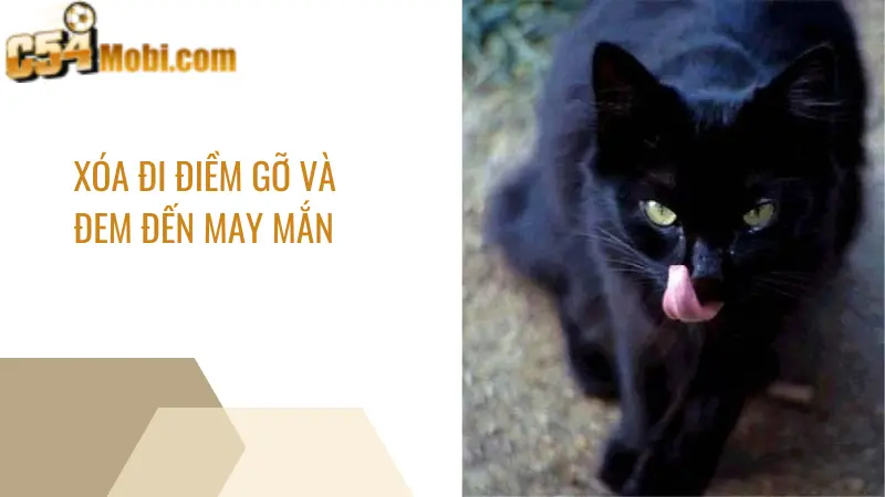 Giải mã giấc mơ để xóa đi điềm gỡ và đem đến may mắn