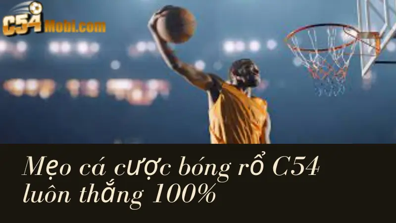 meo-ca-cuoc-bong-ro-c54-1