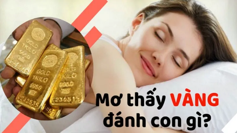 Luận giải giấc mơ tìm kiếm con số lô đề may mắn