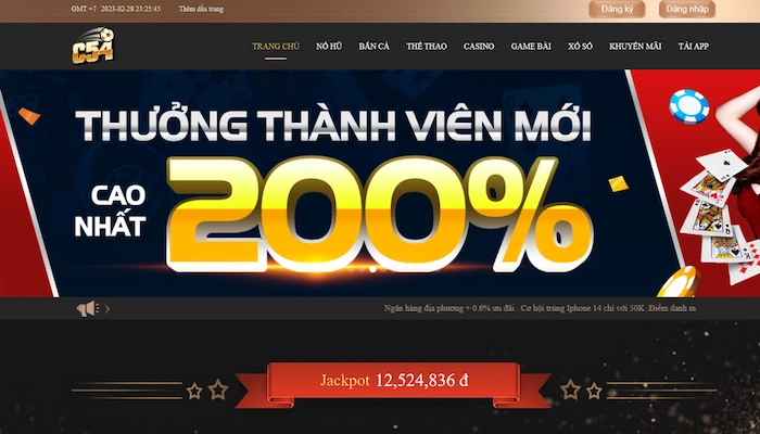 Tổng quan về C54