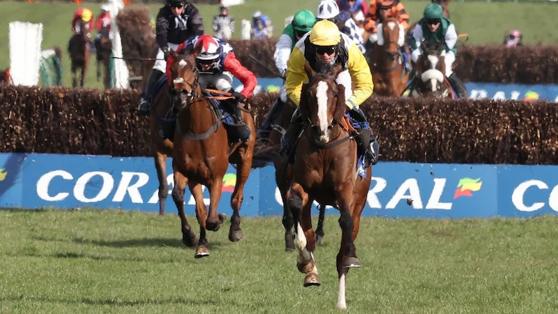 Tổng Quan Đua Ngựa Grand National Scotland 2025