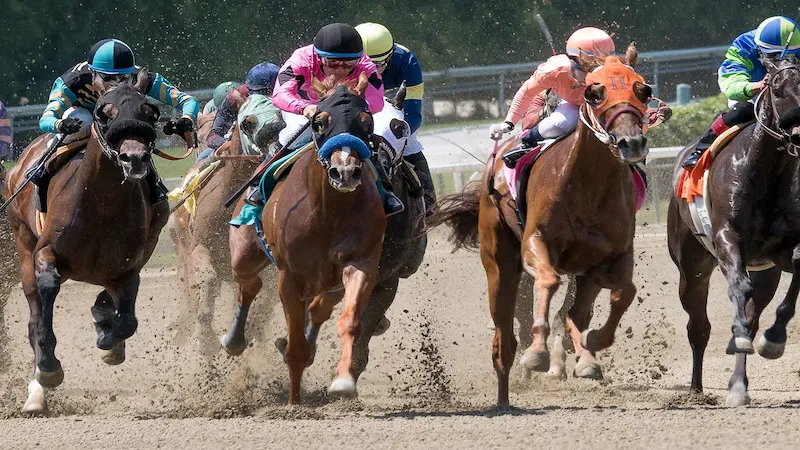 Phân tích xu hướng đua ngựa Grand National Scotland