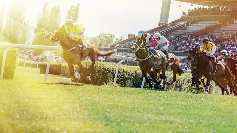 Danh sách ngựa tham dự đua ngựa Grand National Scotland 2024